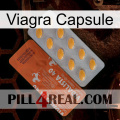 Viagra Capsule 43